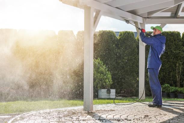 Best Solar Panel Cleaning  in Brookside Village, TX